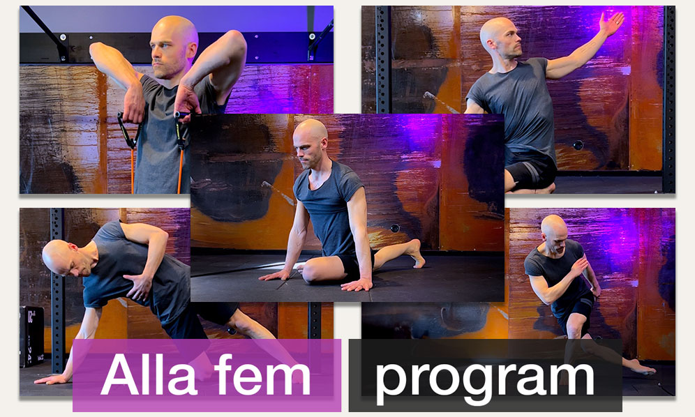 Alla fem program