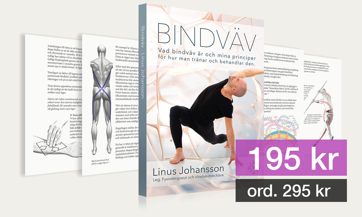 Bindvävsboken